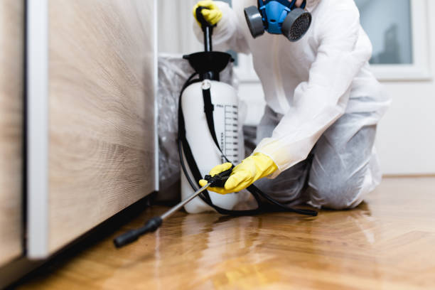 Best Pest Removal Services  in San Ramon, CA