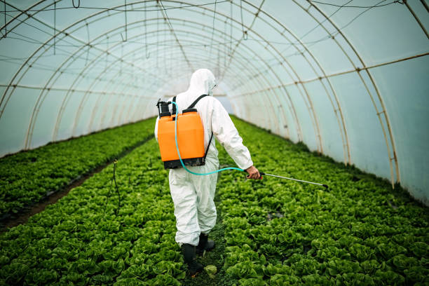 Trusted San Ramon, CA Pest Control Experts